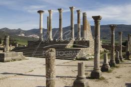 Image du Maroc Professionnelle de  Le piliers du Capitole en ruine, ancien temple de Jupiter dans la ville romaine en ruine de Volubilis l'un des sites les mieux préservés au Maroc et le plus visité. Il se situe à proximité de Moulay Idriss Zerhoun à une trentaine de km au nord-ouest de Meknès, photo prise le jeudi 8 Mars 2012. Volubilis ville antique berbère Walili (Lauriers rose) qui date du 3e siècle avant J.-C. capitale du royaume de Maurétanie fondé comme seconde capital sous le règne de Juba II. (Photo / Abdeljalil Bounhar)
 